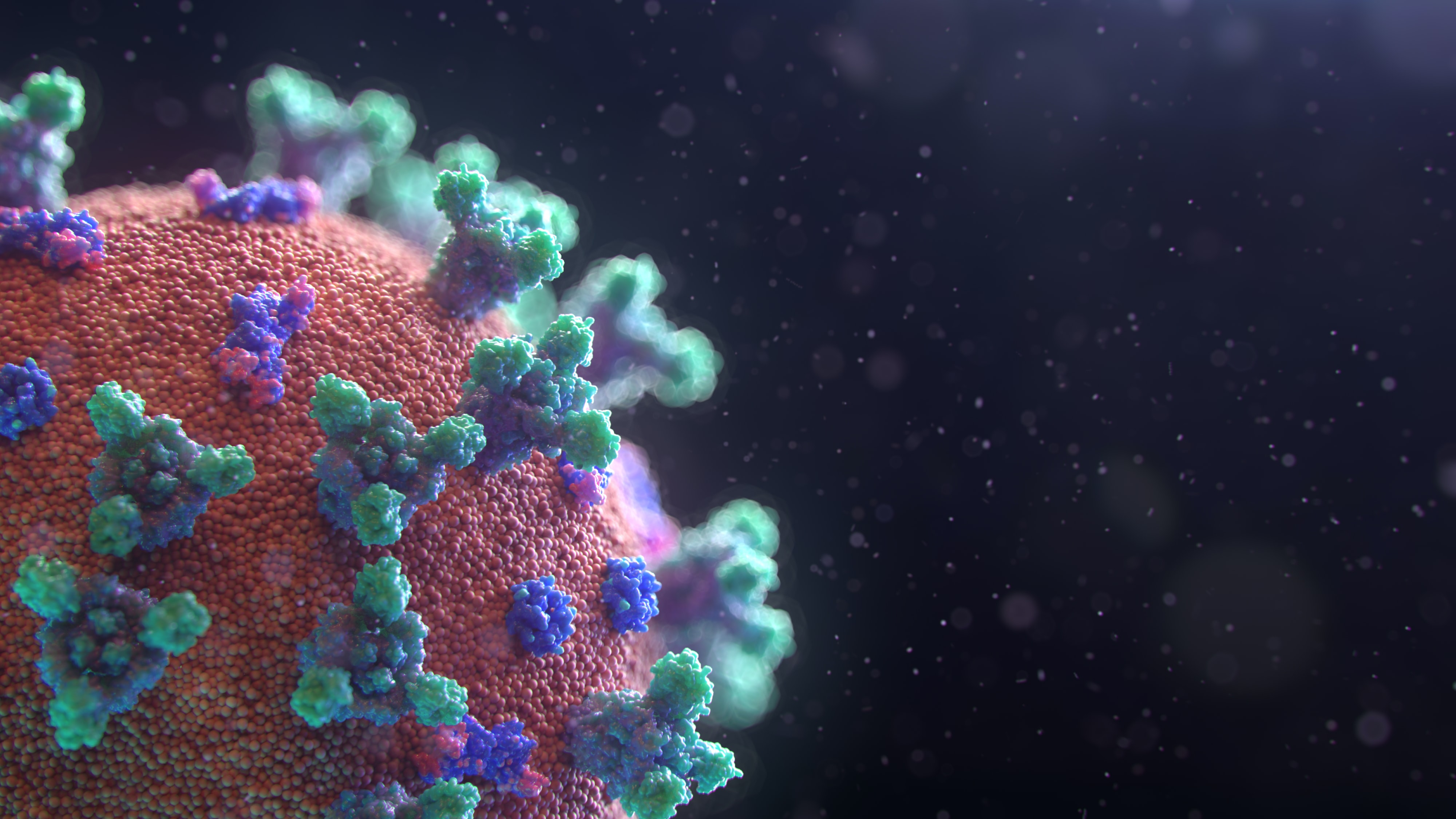image of the coronavirus